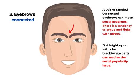 More Chinese Face Reading 12 Common Face Features And Meanings