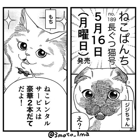 「ねこぱんち」発売です！『ねこレンタルサービス』はドジっ子ジジちゃんとモ 三本いちま🐱マンガ金曜17時 さんのマンガ ツイコミ仮