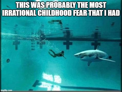 PicturePunches: Meme: That Shark Under The Swimming Pool Fear