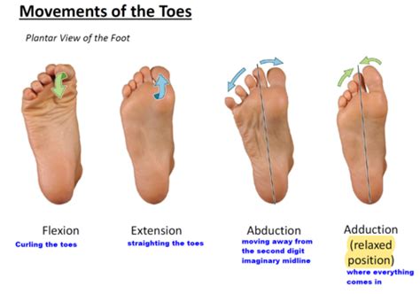 Foot Adduction