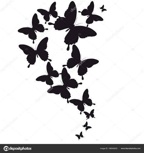 Postal Card Collection Black Flying Butterflies Isolated White