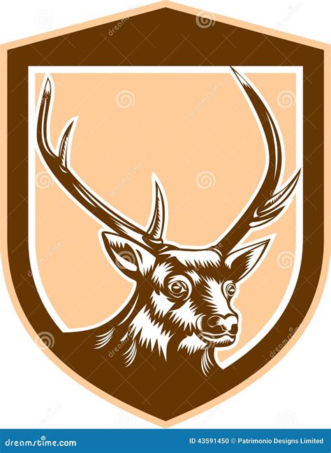 Deer Stag Buck Head Woodcut Shield Stock Illustration Illustration Of Head Crest 43591450