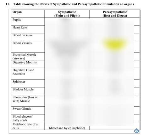 General Effects Of Stimulation Of The Sympathetic And Parasympathetic