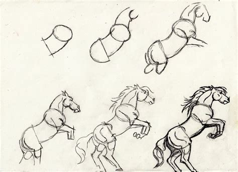 How To Draw A Horse Rearing Step By Step