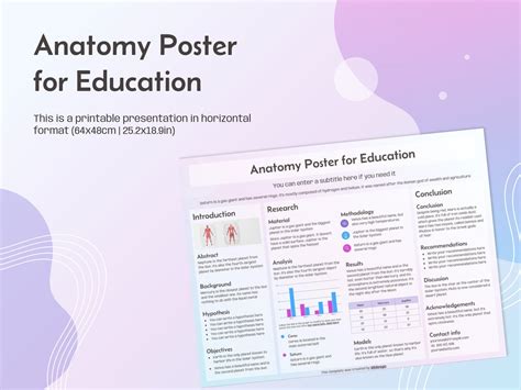 Anatomy Poster for Education Presentation