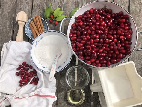 Frau Mutter Kornelkirschen Marmelade Mit Pfirsichen Unser Rezept