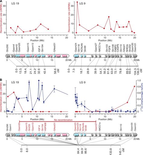 Progressive Recombination Suppression And Differentiation In Recently