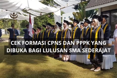 Pendaftaran Cpns Dan Pppk 2024 Segera Dibuka Berikut Formasi Yang Bisa