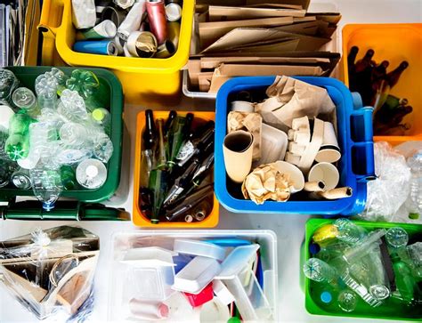 kids learning   recycle trash royalty  photo