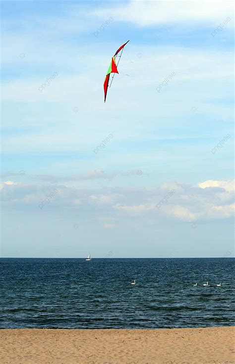 Kite Flying Holiday Photography Vacation Background And Picture For ...