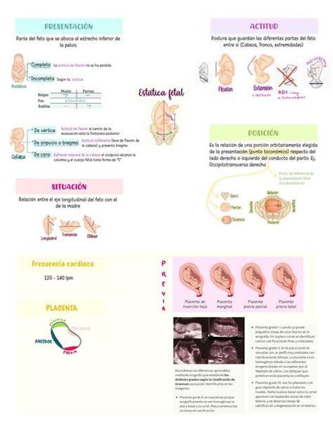 Estática Fetal Y Usg Obstétrico Varthies Udocz