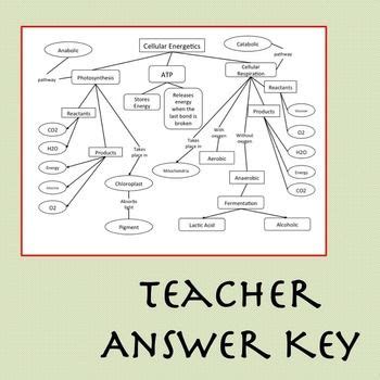Cellular Energetics Concept Map Mason Andre