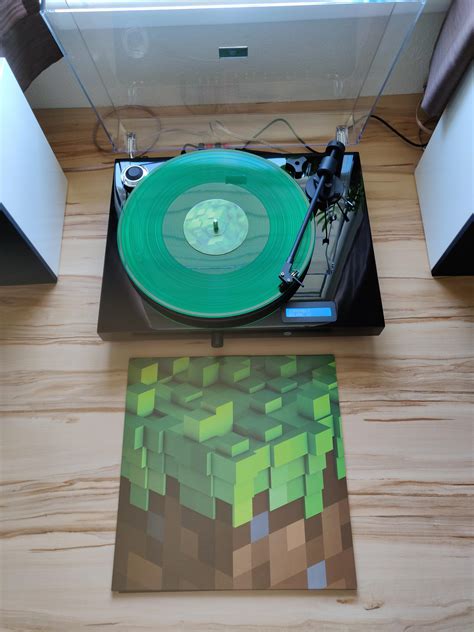 Top Post on r/Minecraft. They love vinyl as well! : r/vinyl