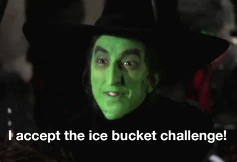 Wicked Witch Melting Gif