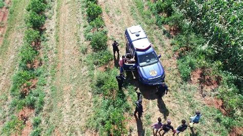 Idoso Encontrado Em Rea Rural De Artur Nogueira Ap S Tr S Dias