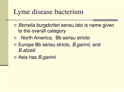 Ppt Borrelia Burgdorferi Powerpoint Presentation Free Download Id