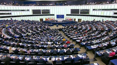 Eu Parliament Adopts Environmental Human Rights Sustainability Due