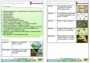 Grade 6 Natural Sciences Technology Term 1 NST Oxford Classroom101