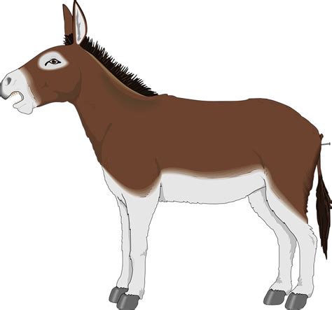 PNG Mule Transparent Mule.PNG Images. | PlusPNG