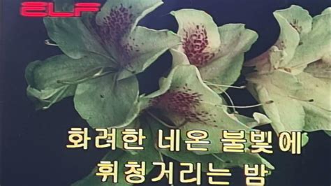 그여자가 가는곳은 최진희 Cover Youtube