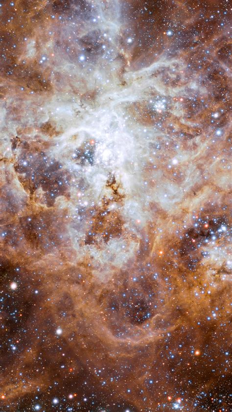 The Tarantula Nebula In The Large Magellanic Cloud Backiee