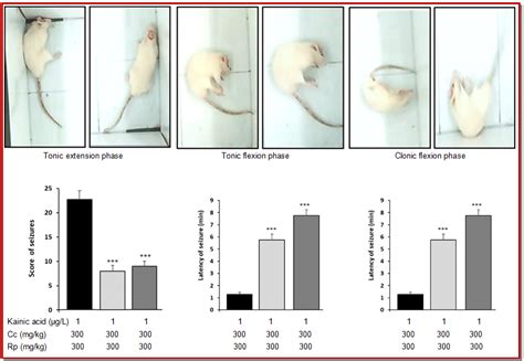 Effect Of Cuminum Cyminum And Rhus Pentaphylla Extracts On Status