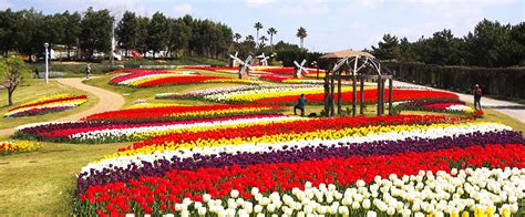 Awaji Island Flowers And Nature Official Awaji Island Tourism Guide