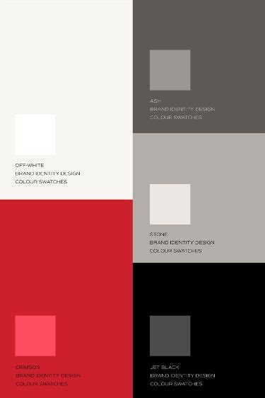 Edgy Modern And Bold Colour Palette For Pds Rdius Brands In 2023