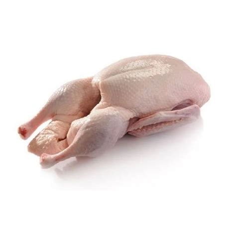 Sonali Murgi Chicken For Cooking Packaging Type Loose At Rs 299 Kg