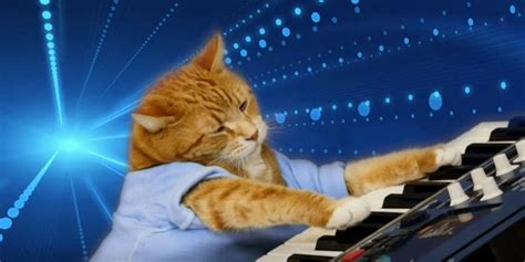 The Life And Times Of Keyboard Cat Everyones Favorite Fail Meme