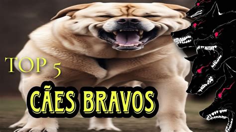 O CÃES MAIS BRAVOS DO MUNDO Parte 1 YouTube