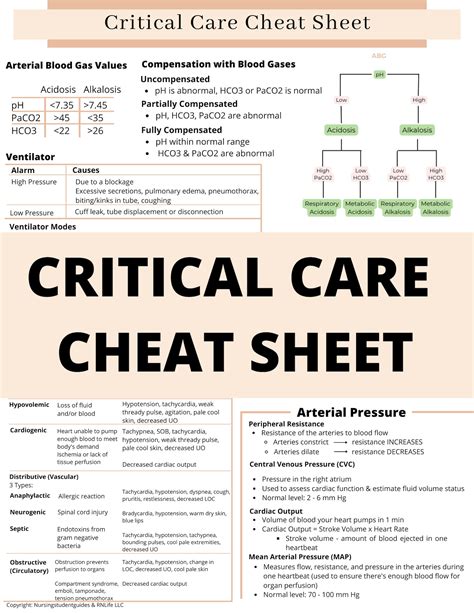 Principles Of Critical Care 5th Edition Pdf 7