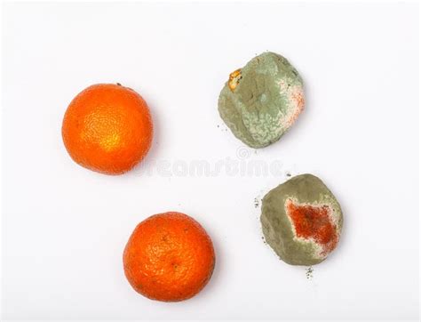 Rotten Fruit with Mold on White Table Stock Photo - Image of board ...