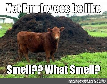 Сomics meme: "Vet Employees be like Smell?? What Smell?" - Comics ...