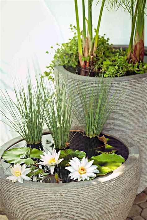 Container Water Features