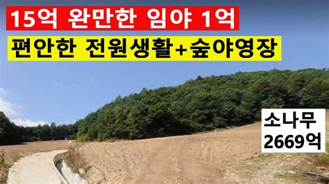 숲야영장탠트고기집6차산업900개가능 수~만평 완만한 남향 싼임야 편안한전원생활 건축가능 숲가치2824억원 탄소권1898만원 땅과