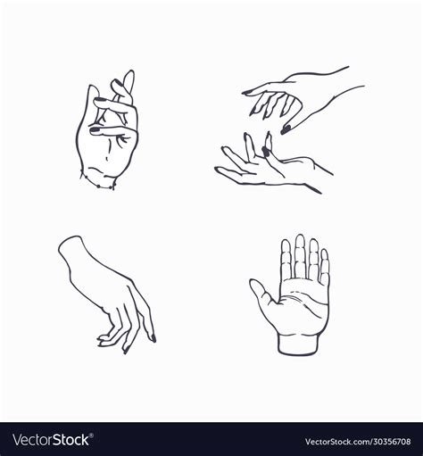 Hand drawn set female hands in different poses Vector Image