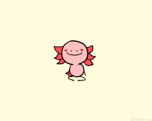 Axolotl S