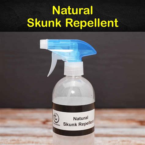 6 Safe & Reliable Skunk Repellent Remedies