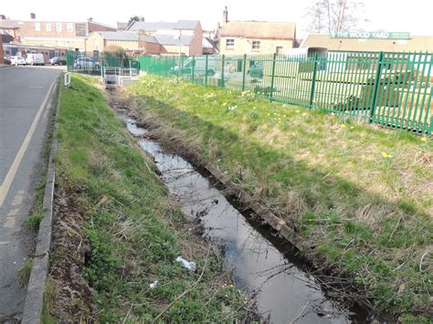 About a Brook: Burrows: Now With Voles