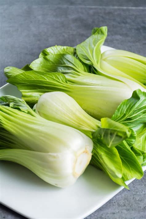 Fresh Raw Baby Bok Choy Or Pak Choi Chinese Cabbage Stock Image Image