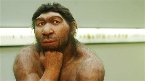 Neanderthals And Humans Interbreeding