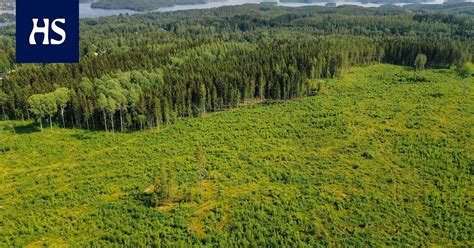 Kysely Enemmist Suomalaisista Kannattaa Metsien Hakkuiden