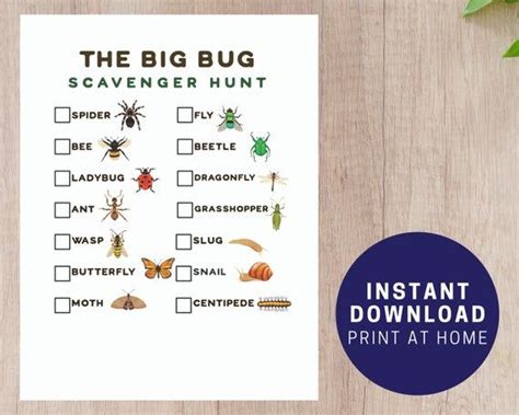 Bug Scavenger Hunt Printable For Kids Backyard Scavenger Etsy Uk