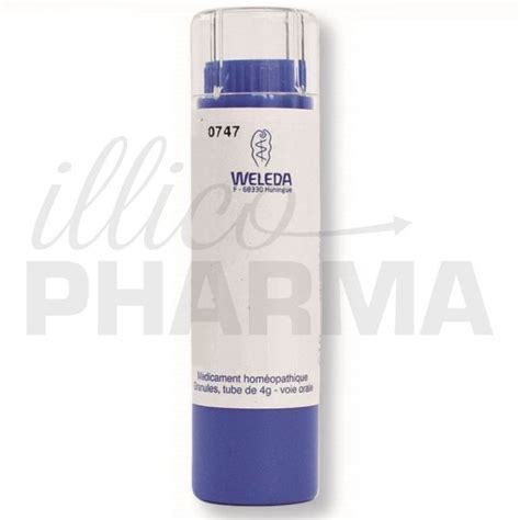 Granules Weleda Arnica Montana Hom Opathie Illicopharma