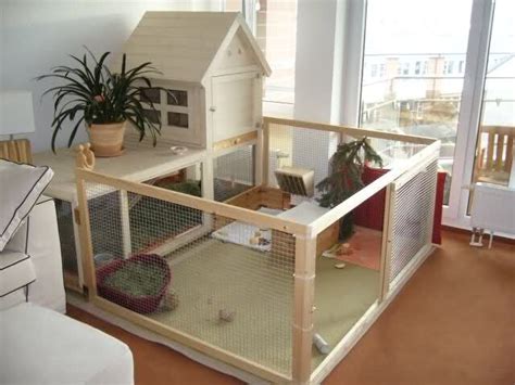 Modern Bunny Digs Indoor Rabbit House Indoor Rabbit Cage Rabbit Cages