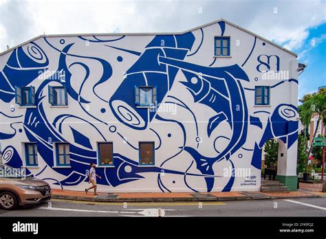 ikan todak mural duxton hill tanjong pagar    abstract mural