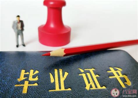 第一学历能证明求职者的能力吗 为什么第一学历很重要 八宝网