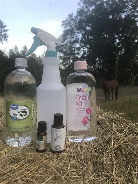 All Natural Diy Fly Spray For Livestock Artofit