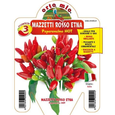 Piante In Vaso Cm Di Peperoncino Piccante Rosso Etna Ortomio